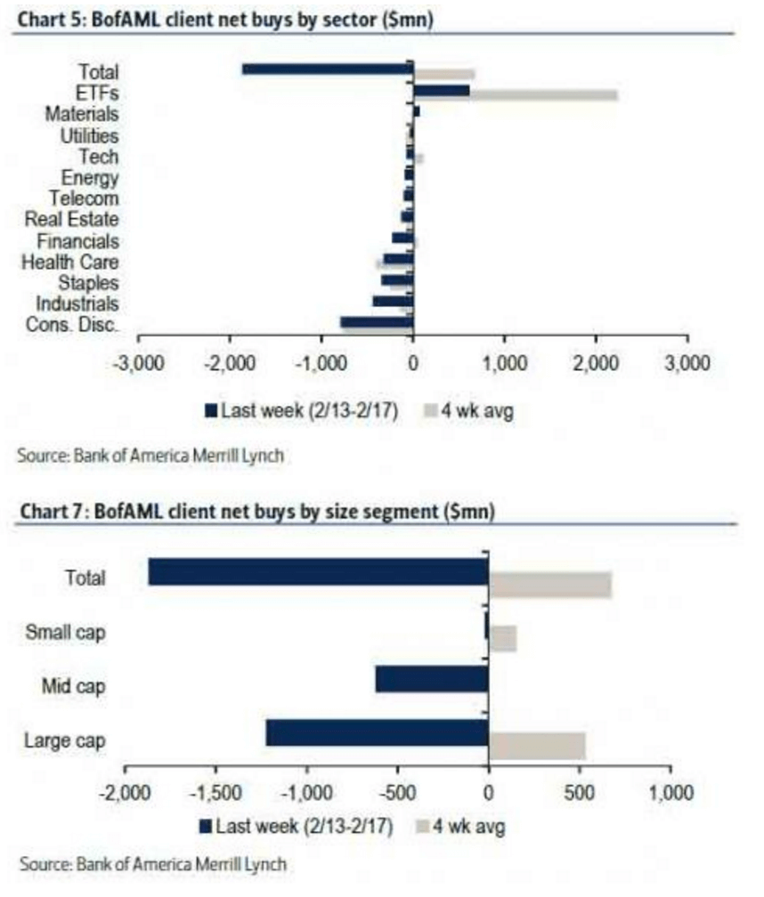 BoA顧客が投資するセクター、サイズ